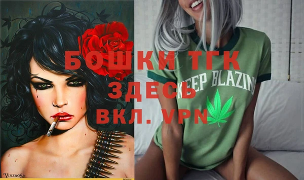 стафф Арсеньев