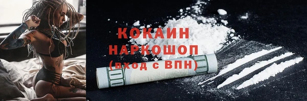 стафф Арсеньев